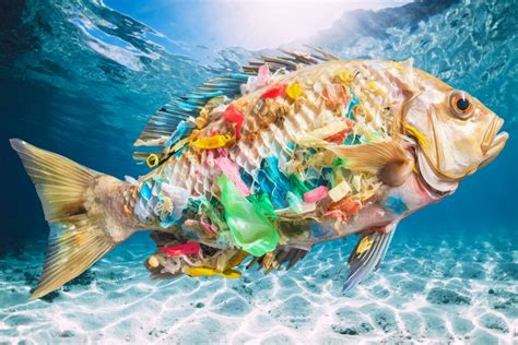 microplastics pollution